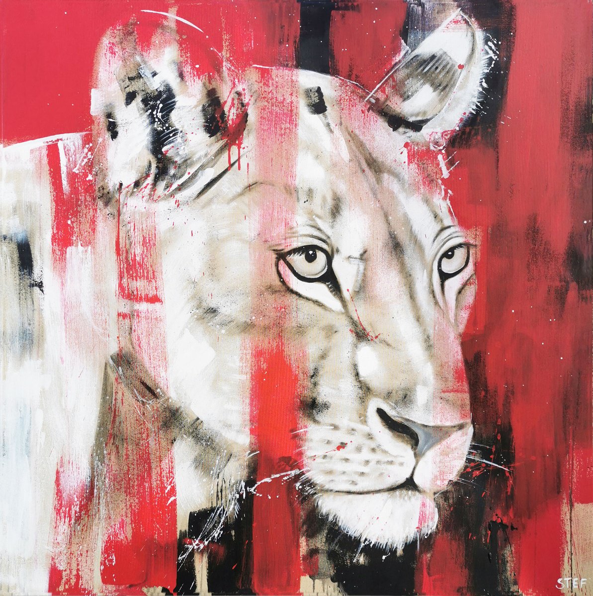 Big Cat - Lioness #12 By Stefanie Rogge, 39 X 39, Artwork For Sale On Artfinder