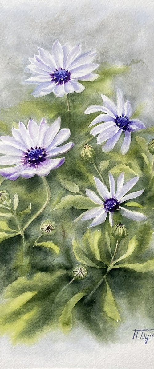 Blue eyes, white flowers, original by Natalia Butenko