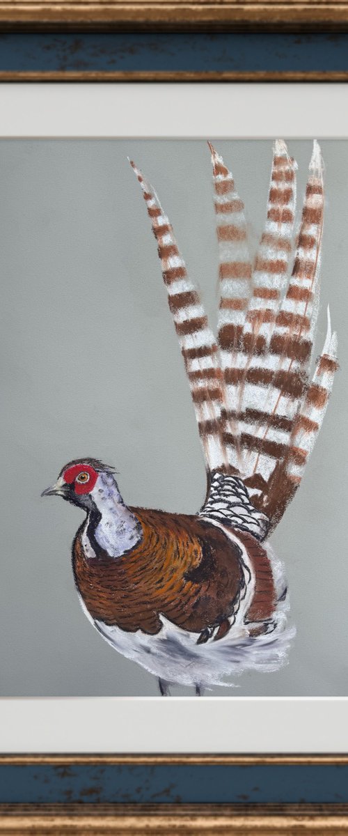 Phaesant Soft Pastel by Yuliia Sharapova