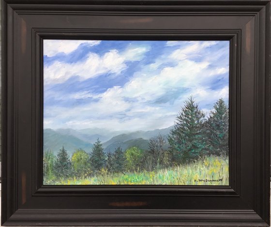 PARKWAY OVERLOOK