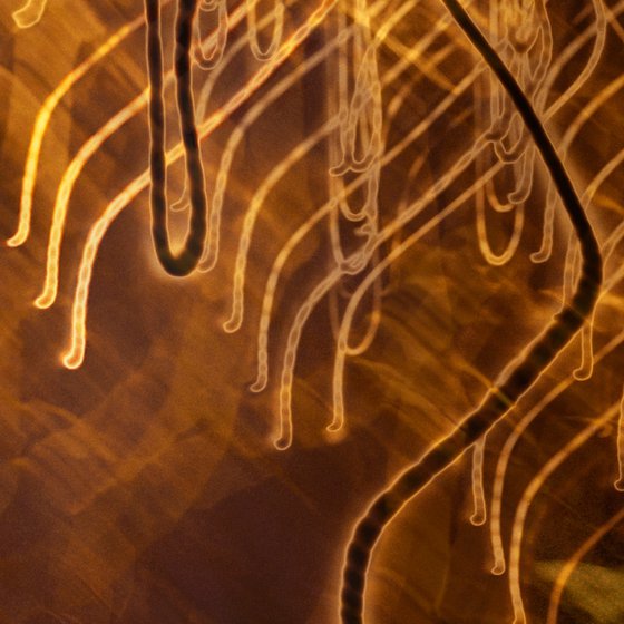 Street Light Trees (Yellow) Nottingham
