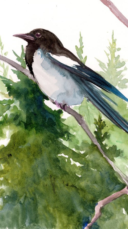 Magpie in the forest by Suren Nersisyan