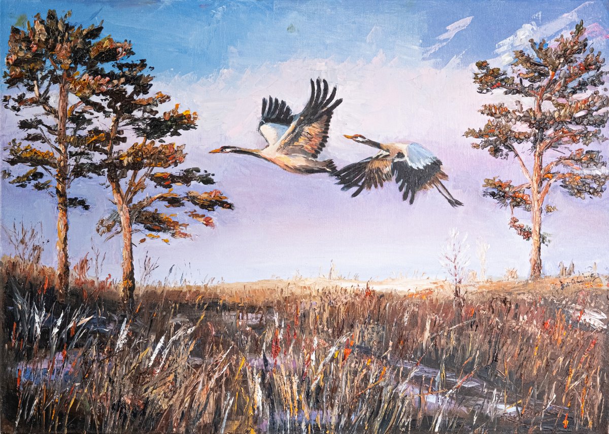 Cranes by Catherine Varadi
