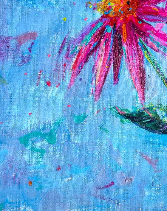 Echinacea