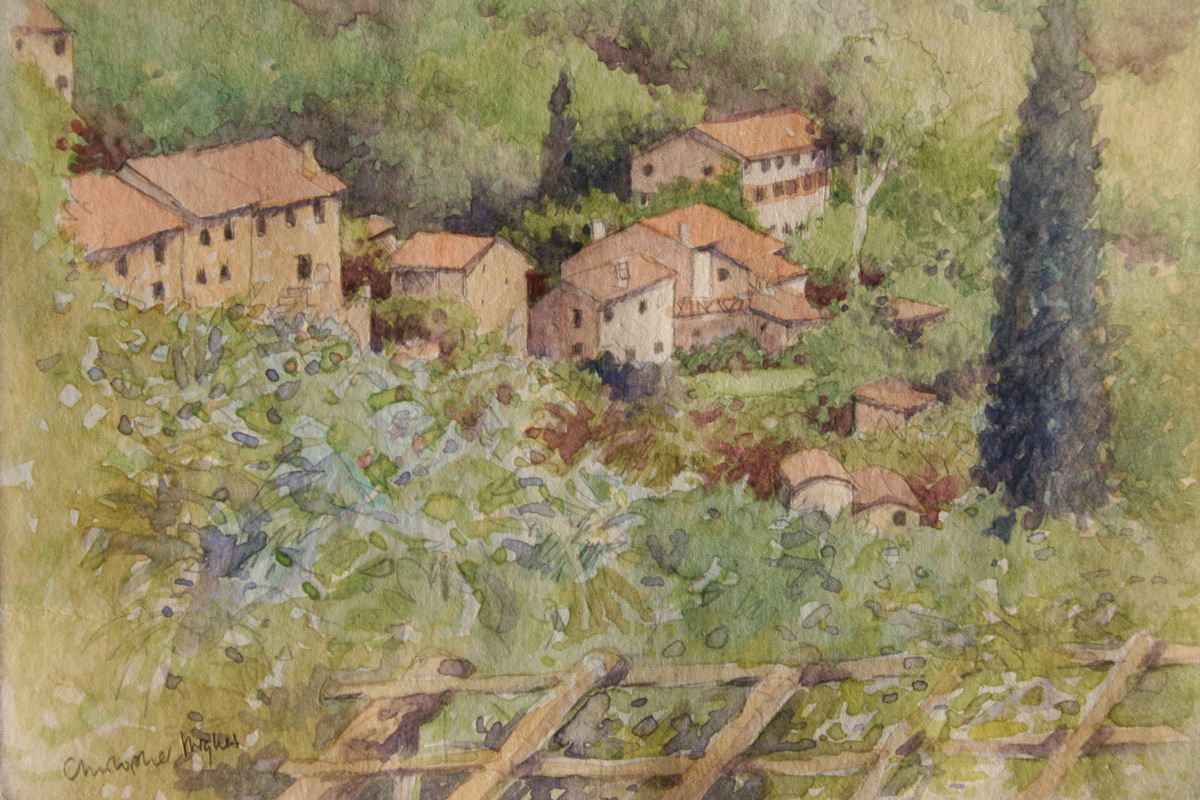 Camaiore View.Tuscany by Christopher Hughes