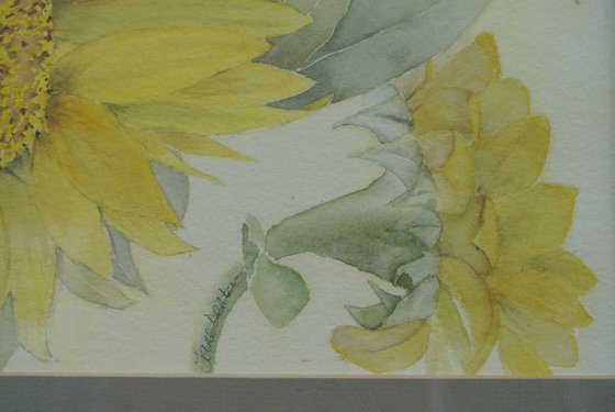 Sunflowers  Original Framed Watercolour