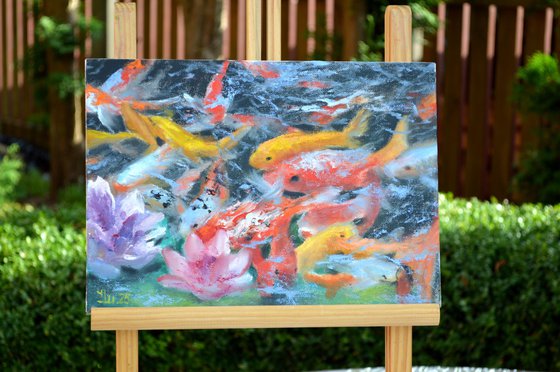A koi paradise