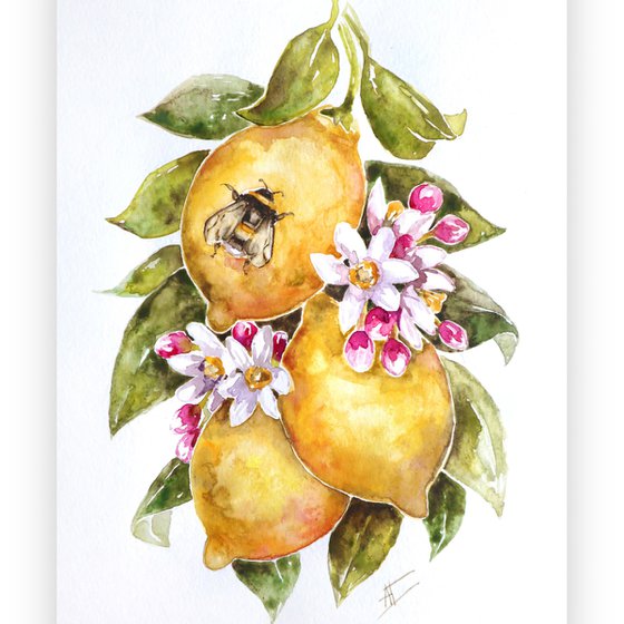 Watercolor lemons and bee illustration with pink flowers and green leaves