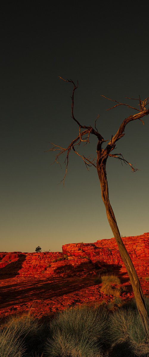 Watarrka Boollar Wunggurra by Nick Psomiadis