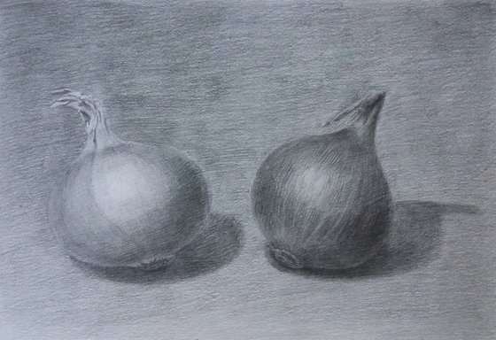 Still life # 3 Onion. Original pencil drawing.