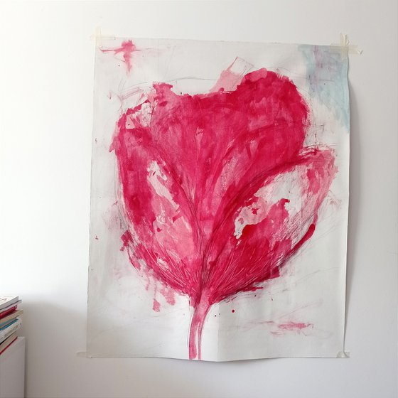 Tulip