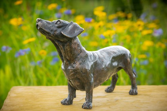 Standing Dachshund FB