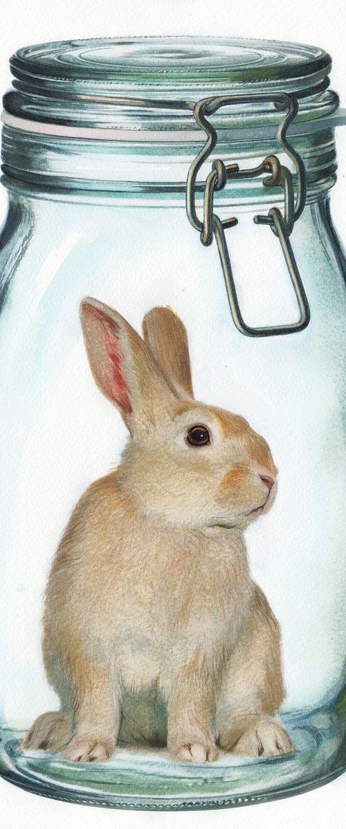 Rabbit in Jar by REME Jr.