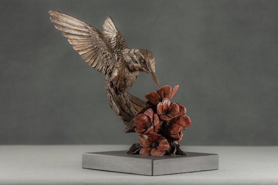 Hummingbird Bronze Resin