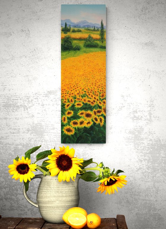 Sunflowers field in Tuscany