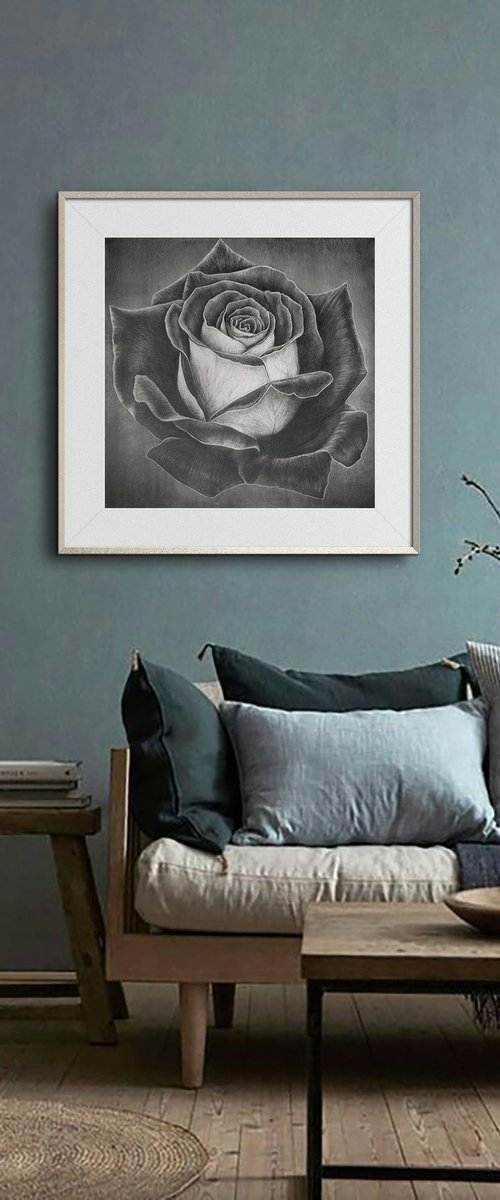 Two-Faced Rose. Graphite Flowers Series by Sergei Skachkov