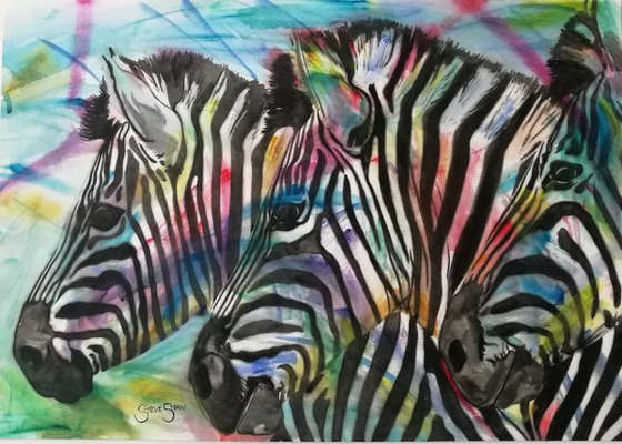 The Three Amigos. Watercolour Zebra. Free Shipping