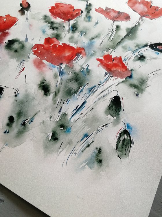 Red poppy painting. Wildflowers