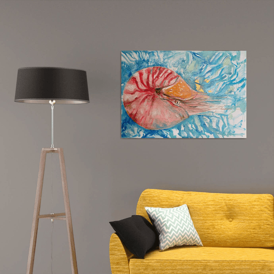 Nautilus Pompilus