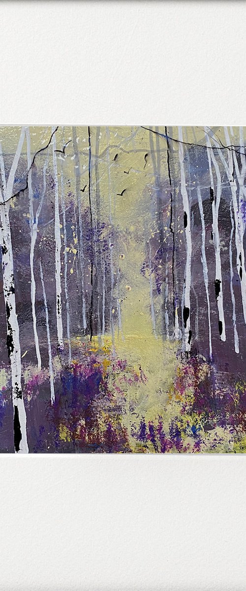Seasons - Violet Autumn, Silver Birches by Teresa Tanner