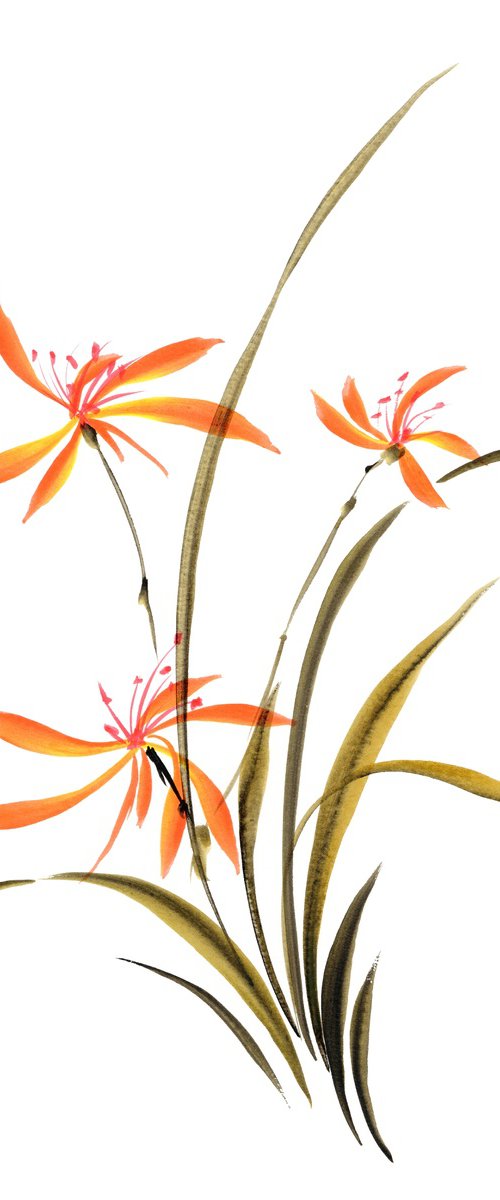 Dancing Daylilies by Hai Doan