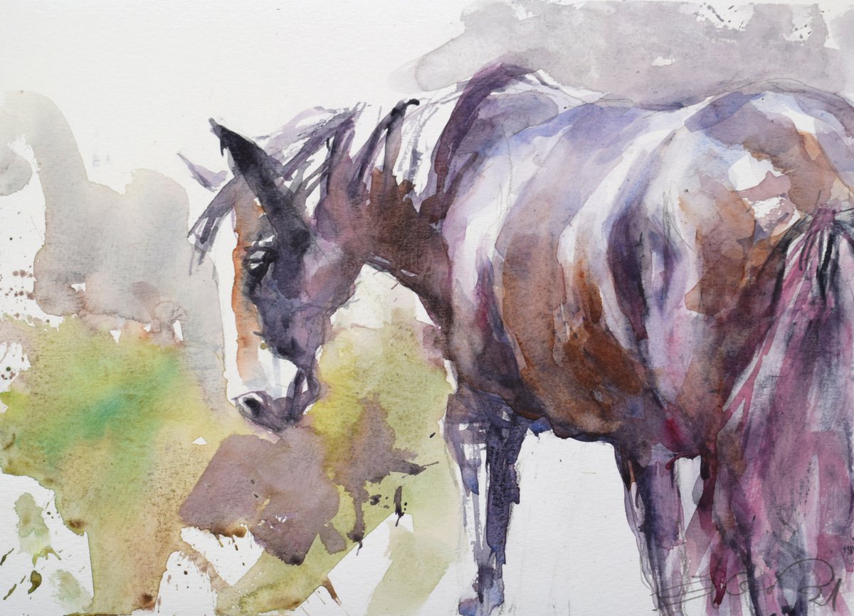 a horse in a meadow by Goran Zigolic Watercolors