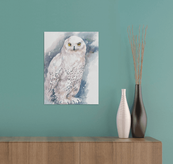 Snow Owl White Vida
