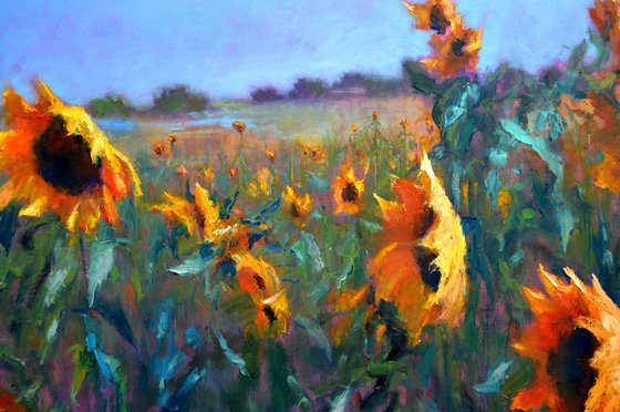 Sunflowers 97X170