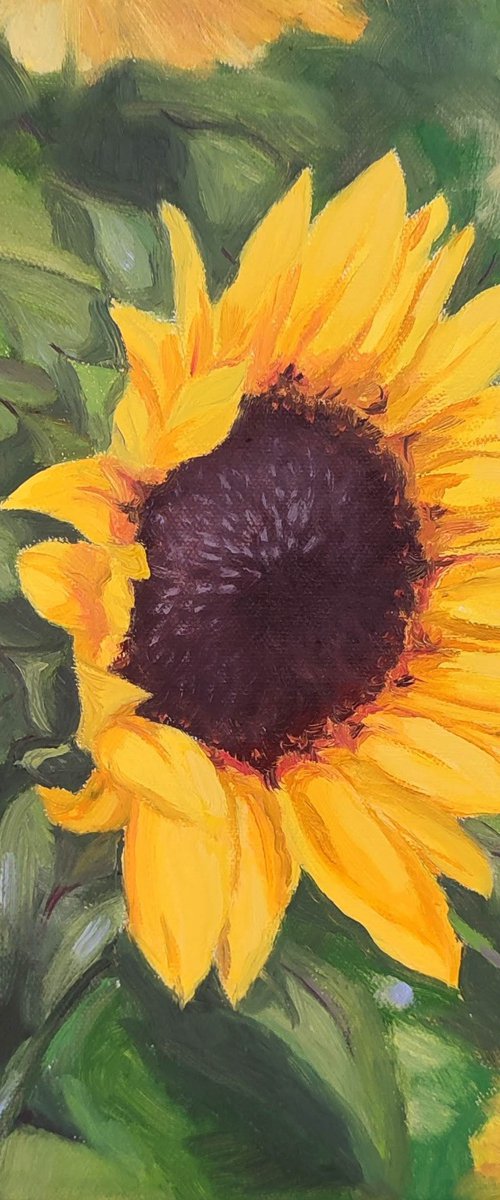 Sunflower by Assol Kovtun