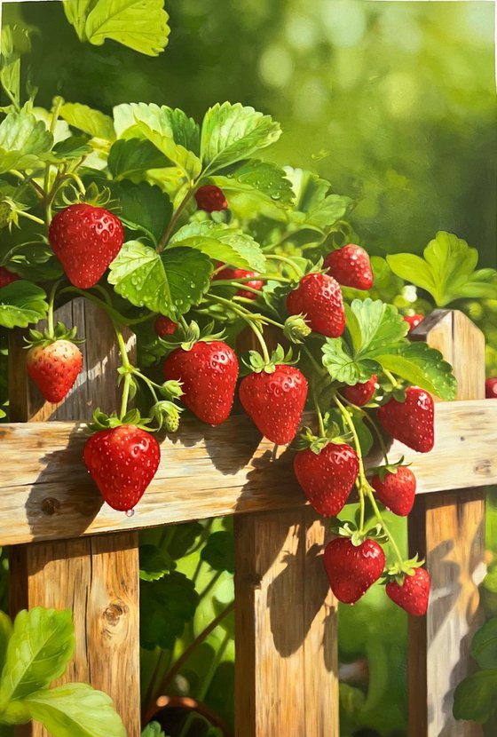Strawberries t295