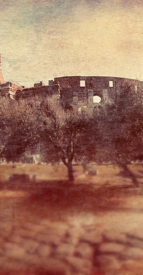 Colosseum through olive trees by Nadia Attura