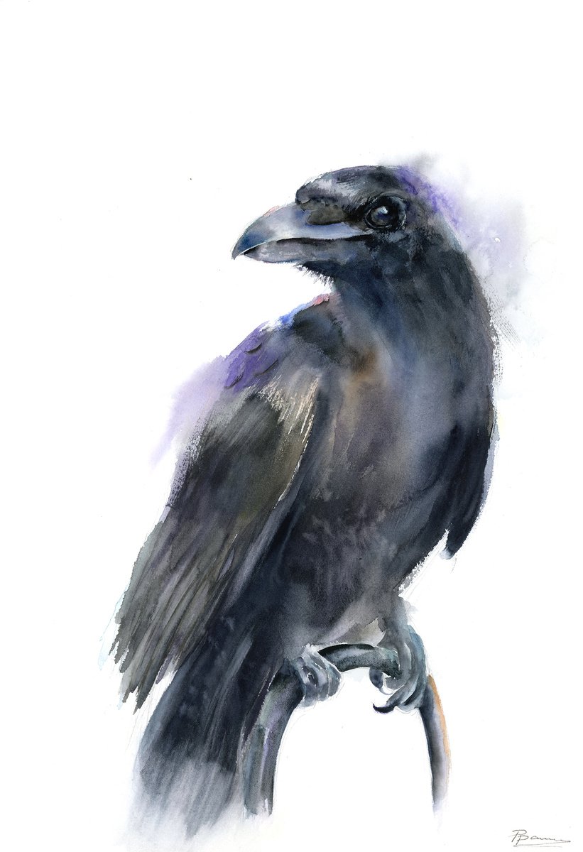 Impressionistic Animal Watercolour By Olga Tchefranov (Shefranov), 12 X 18", Majestic Raven, Original Artwork