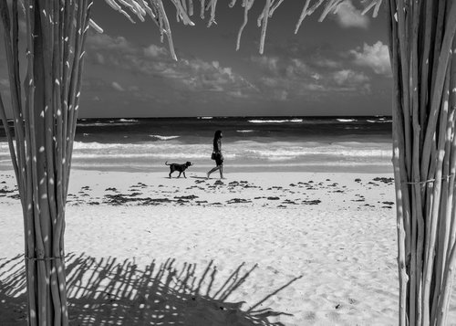One Man and his Dog  - Tulum Mexico by Stephen Hodgetts Photography