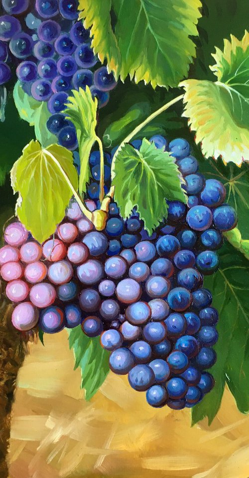 Bunches of grapes by Olena Romanenko