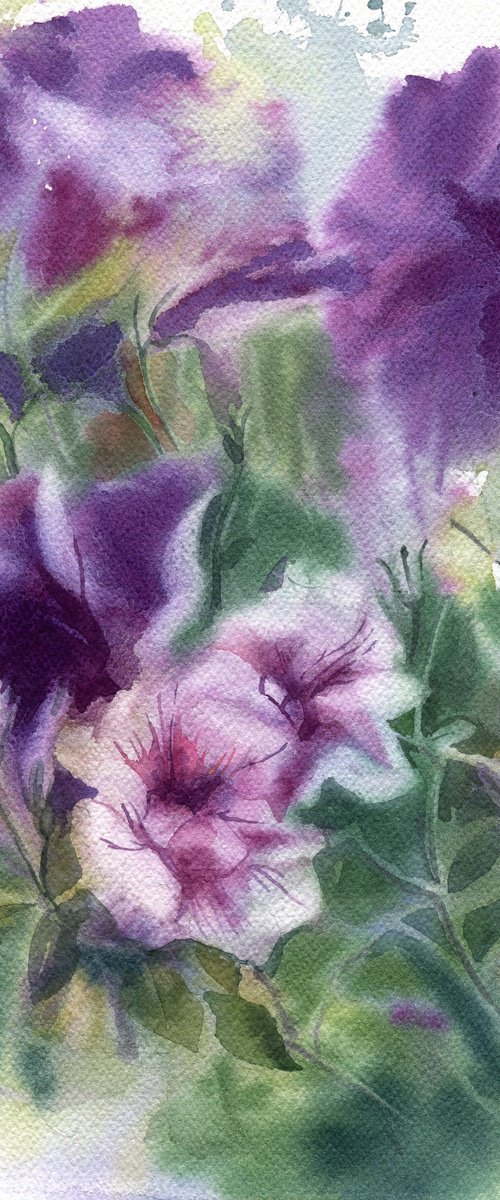 Petunia, watercolor study by SVITLANA LAGUTINA