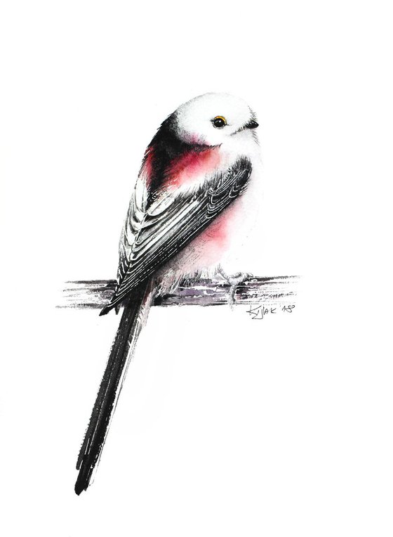 Long Tiled Tit, 21x30cm, birds, wildlife and animals watercolours