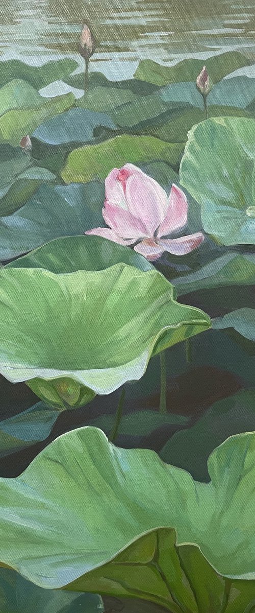 Lotuses landscape by Guzel Min