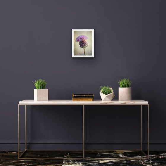 ARTICHOKE FLOWER