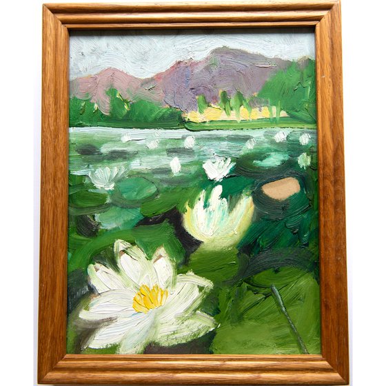 Waterlilies, Blea Tarn