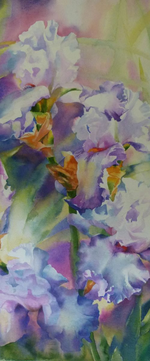Delicate irises by Yuryy Pashkov
