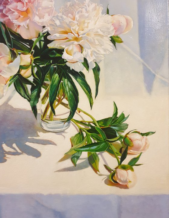 "Peonies bathe in sunlight."