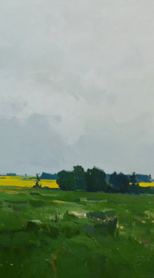 Spring fields by Vytautas Laisonas