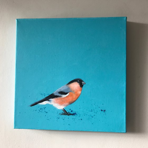 Bullfinch ~ on duck egg blue