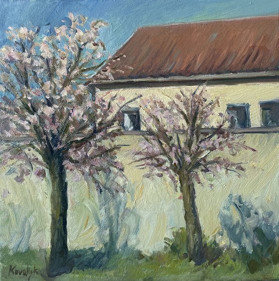 Spring in Bloom