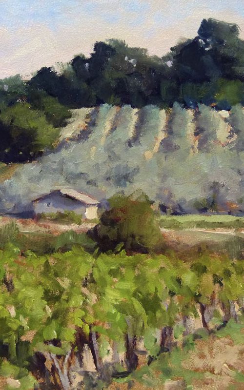 Vineyards and Olive Fields by Pascal Giroud