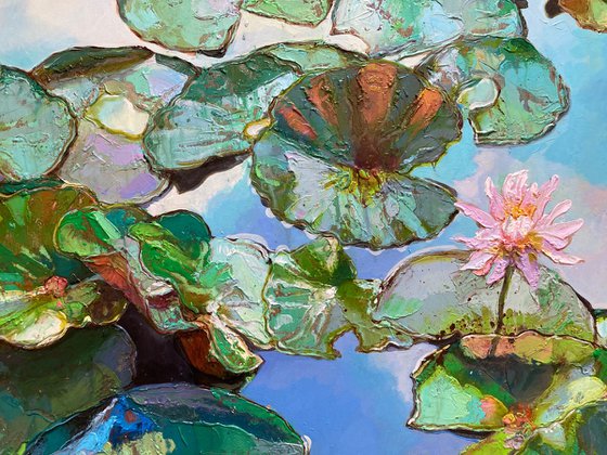 Water Lilies