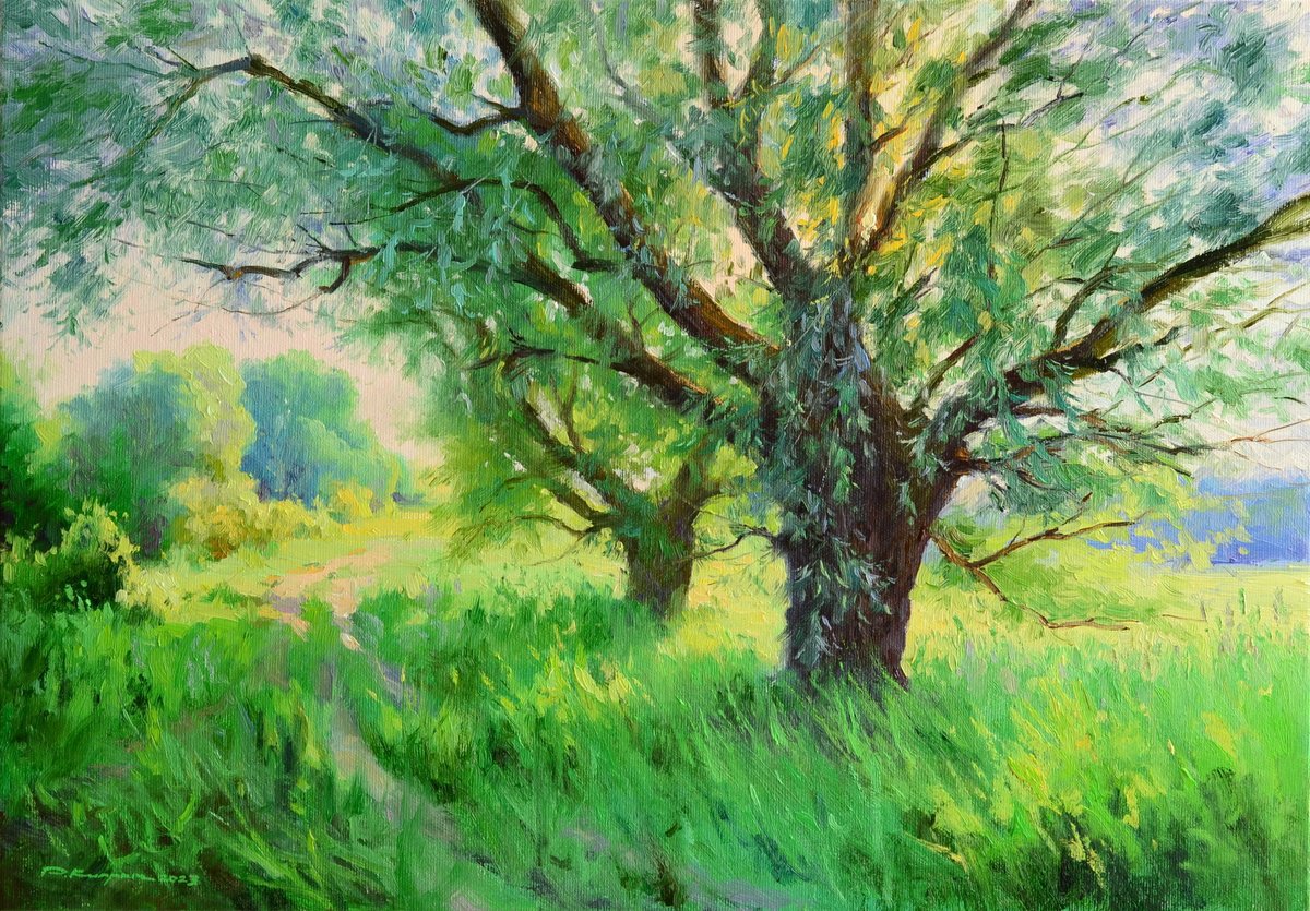 Impressionistic Landscape Oil Painting By Ruslan Kiprych, 20 X 14", Old Willows, Original Artwork