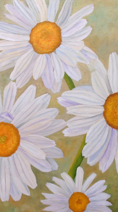 White On Green Daisies by Angeles M. Pomata