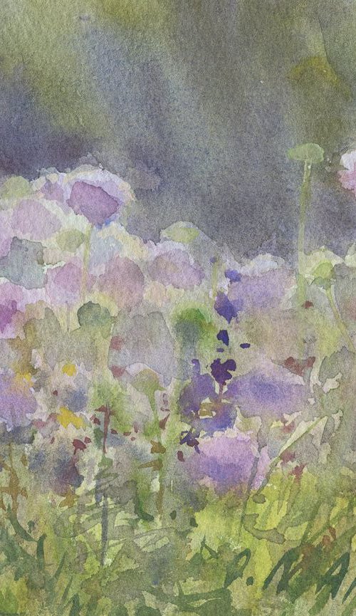 Summer flowering. Lavender purple / Meadow landscape Flowers sketch by Olha Malko