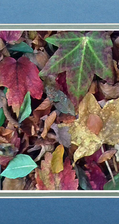 Autumn Leaves One by Robin Clarke